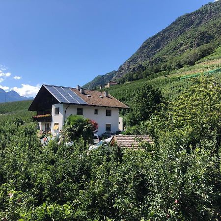 카스텔벨로 Pixnerhof - Urlaub Am Biohof 아파트 외부 사진