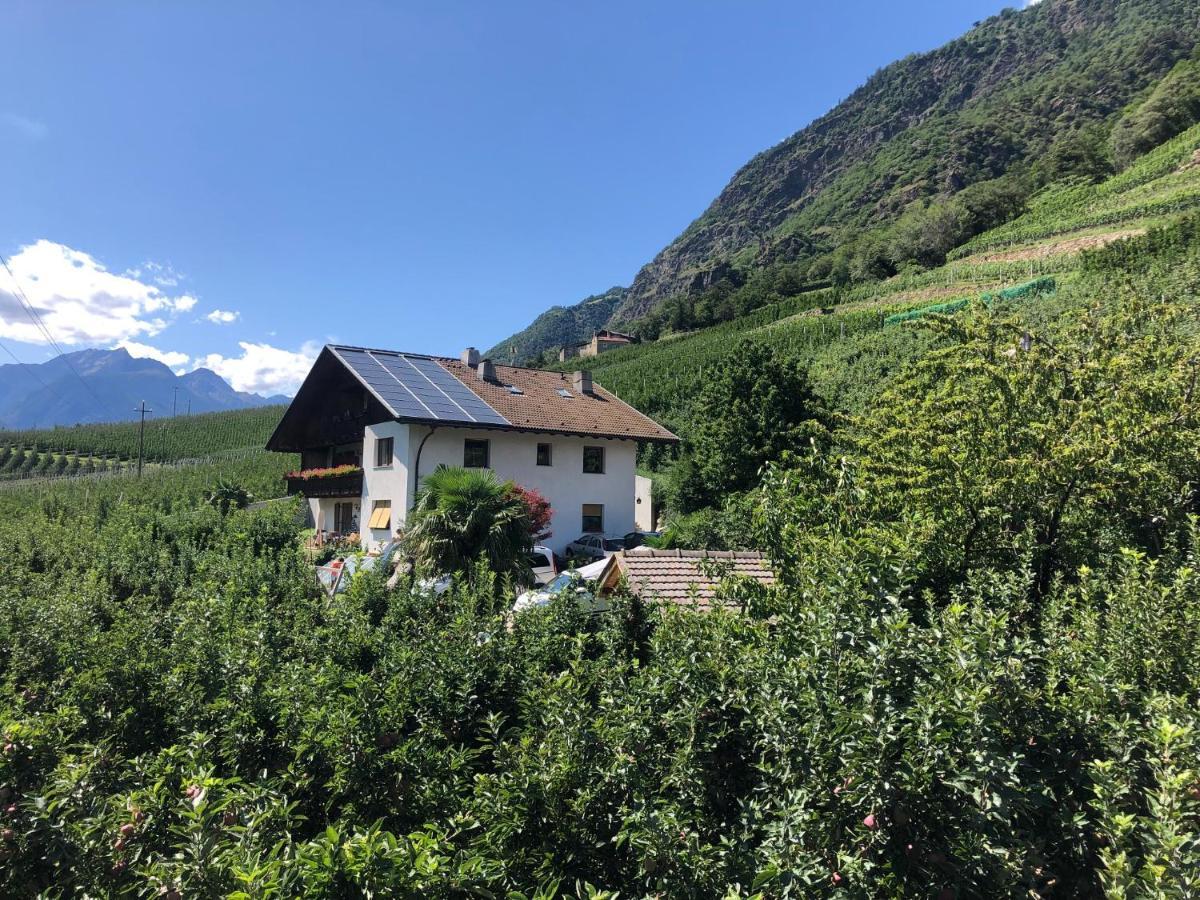 카스텔벨로 Pixnerhof - Urlaub Am Biohof 아파트 외부 사진