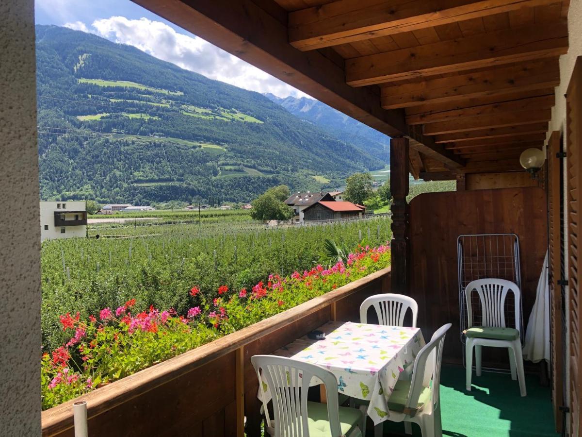 카스텔벨로 Pixnerhof - Urlaub Am Biohof 아파트 외부 사진