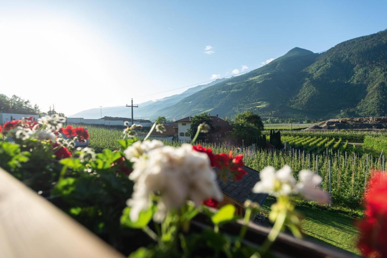 카스텔벨로 Pixnerhof - Urlaub Am Biohof 아파트 외부 사진