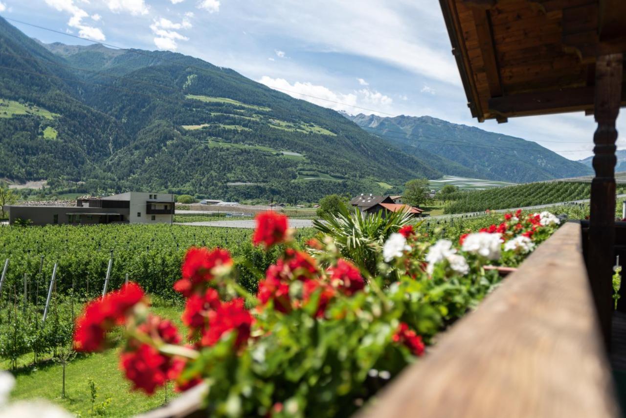 카스텔벨로 Pixnerhof - Urlaub Am Biohof 아파트 외부 사진