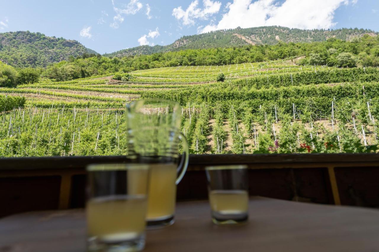 카스텔벨로 Pixnerhof - Urlaub Am Biohof 아파트 외부 사진