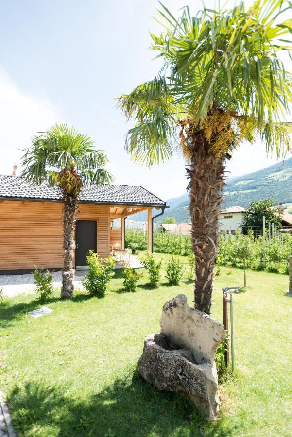 카스텔벨로 Pixnerhof - Urlaub Am Biohof 아파트 외부 사진